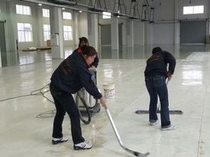 紫晶西城中心周邊專業(yè)保潔服務(wù) 裝潢后保潔、地板打蠟與玻璃清潔一站式解決方案